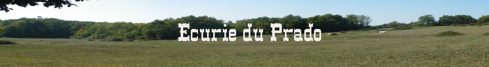 pension, cheval, chevaux, pré, box, gironde, 33